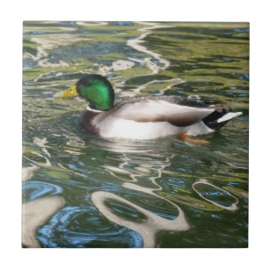 Mallard Duck Ceramic Tile