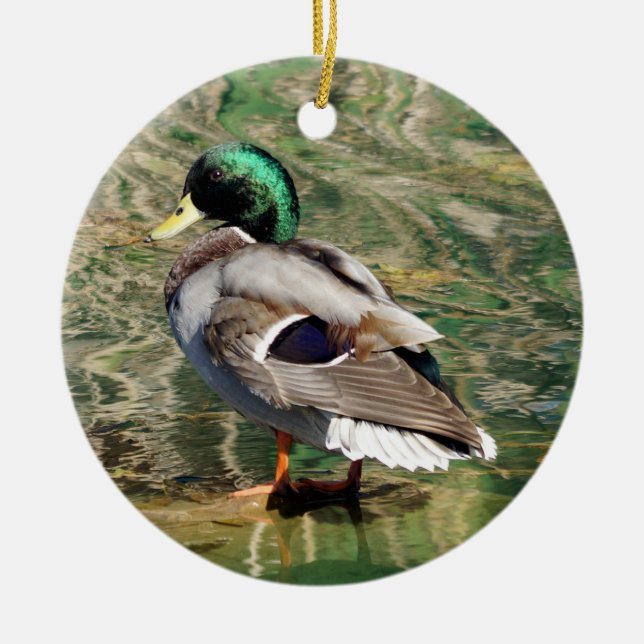 Mallard Duck Christmas Ornament (Front)