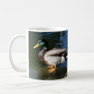 Mallard Duck Coffee Mug