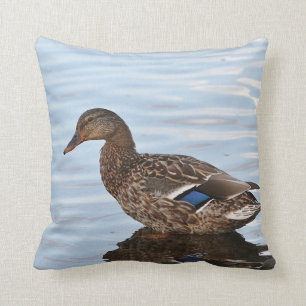 Mallard duck cushion