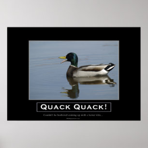 Mallard Duck Demotivational Poster