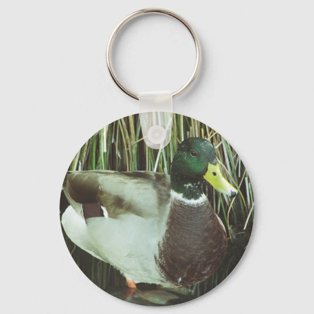 Mallard Duck Distinctive Male Bird Photo Nature Key Ring (Front)