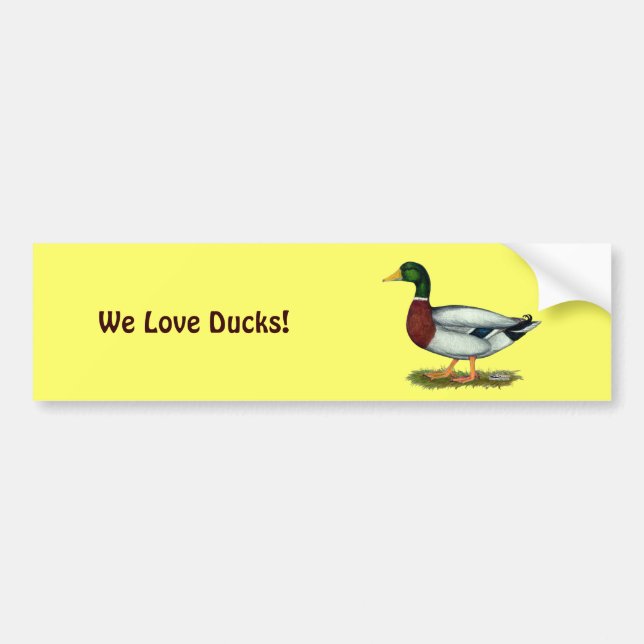 Mallard Duck Drake Bumper Sticker (Front)