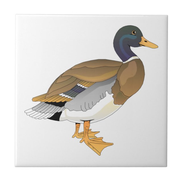 Mallard Duck (Drake) Ceramic Tile (Front)