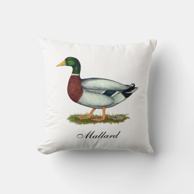Mallard Duck Drake Cushion (Front)