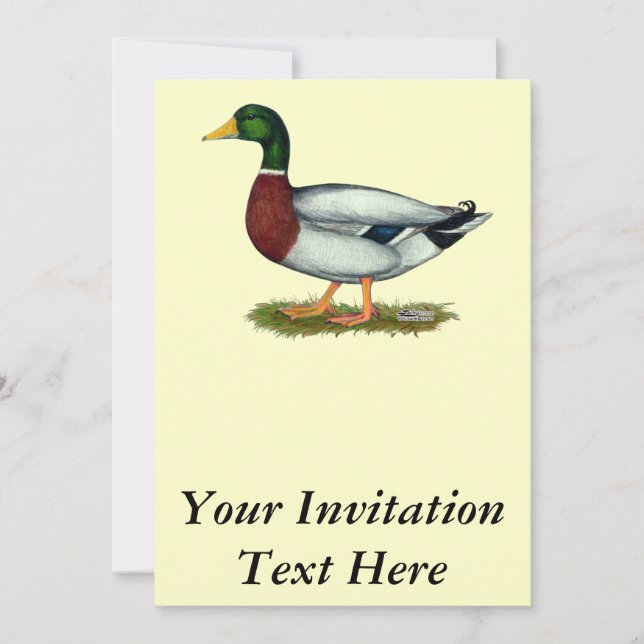 Mallard Duck Drake Invitation (Front)