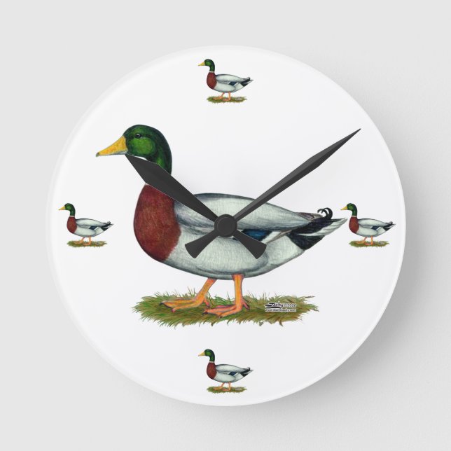Mallard Duck Drake Round Clock (Front)