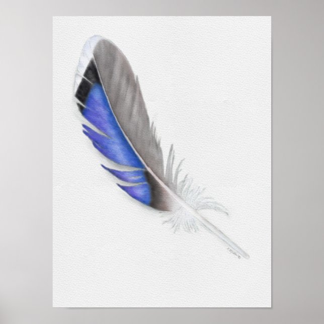 Mallard Duck Feather Watercolor Poster (Front)