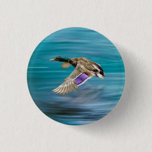 Mallard duck flying 3 cm round badge