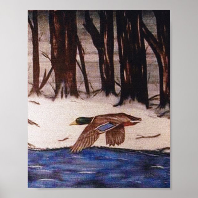 Mallard Duck Flying in the Winter Poster (Front)