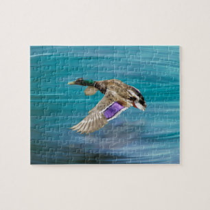 Mallard duck flying jigsaw puzzle