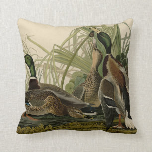 Mallard Duck from Audubon's Birds of America Cushion