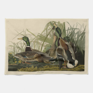 Mallard Duck from Audubon's Birds of America Tea Towel