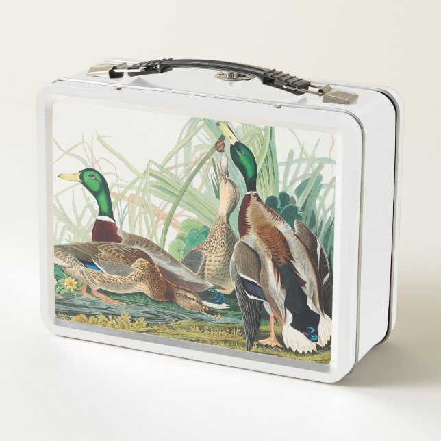 Mallard Duck from Birds of America (Audubon) Metal Lunch Box (Back)