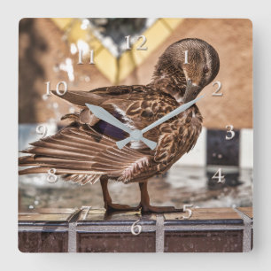 MALLARD DUCK GETAWAY RESORT SPA SQUARE WALL CLOCK