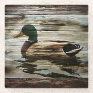 Mallard Duck Glass Coaster