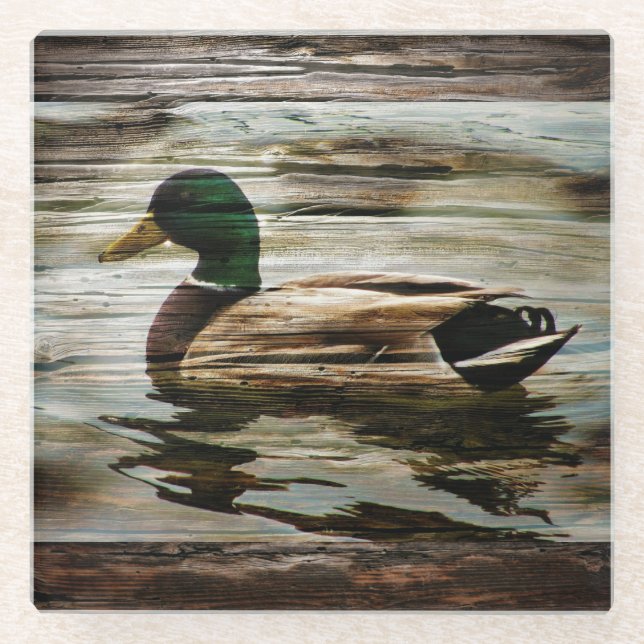 Mallard Duck Glass Coaster (Front)