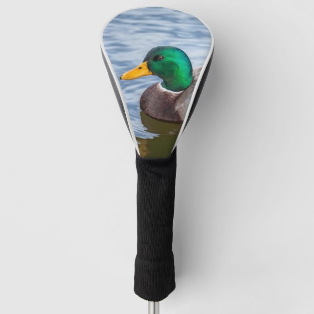 Mallard Duck Golf Head Cover (Front)