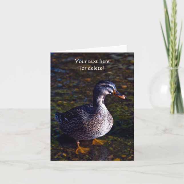 Mallard Duck Greeting card (Front)