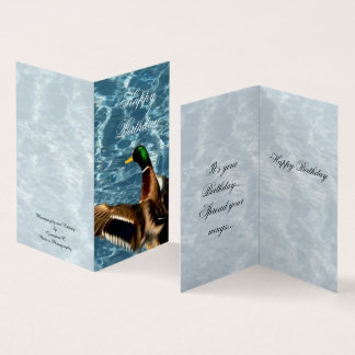 Mallard Duck "Happy Birthday" (Customisable Text)