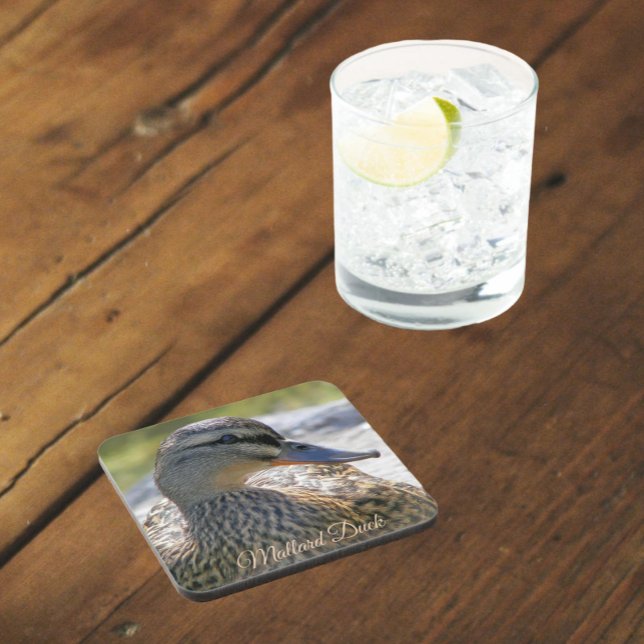 Mallard Duck Hen Nature Photo Coaster (In Situ Glass)