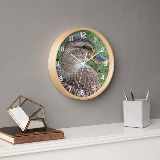 Mallard Duck Hen Photo Clock (Office)