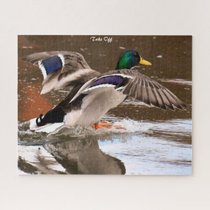 Mallard Duck in Flight Jigsaw Puzzle