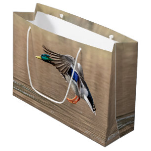 Mallard Duck in flight Large Gift Bag