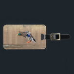 Mallard Duck in flight Luggage Tag<br><div class="desc">A mallard duck in a pond at Downing Park in Newburgh, NY. This image was taken by Debbie Quick from Debs Creative Images. To see more photography by Debbie, check out her website at: www.debscreativeimages.com</div>