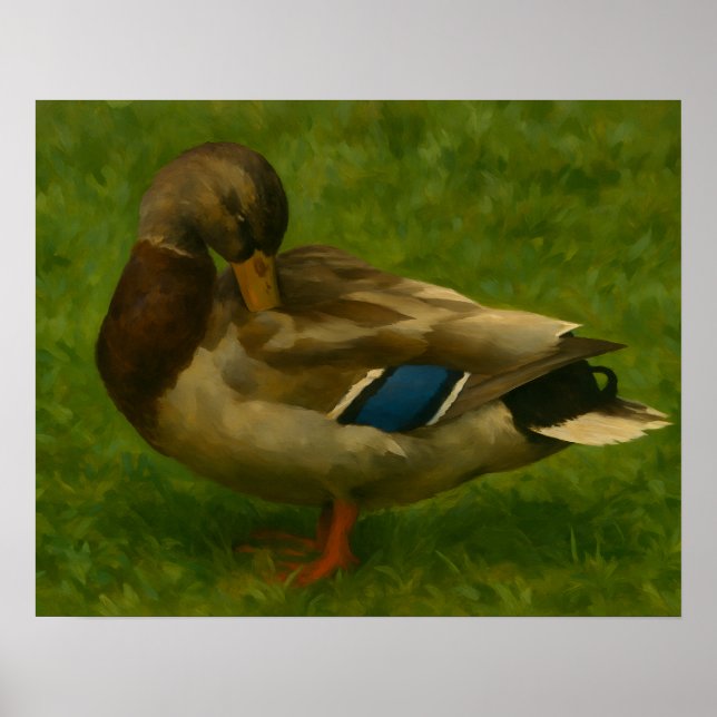 Mallard Duck in Meadow Light Poster (Front)