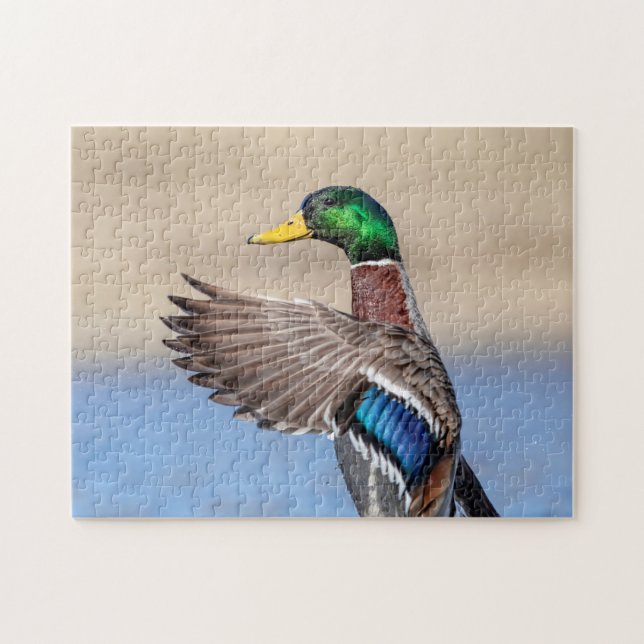 Mallard Duck in the Hudson Valley Jigsaw Puzzle (Horizontal)