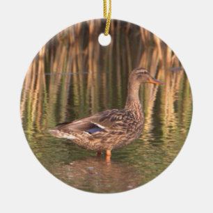 Mallard Duck in Water Ornament 