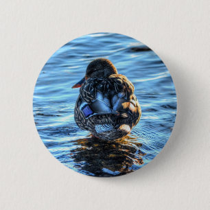 Mallard Duck in Winter River - Wildlife Photo 6 Cm Round Badge