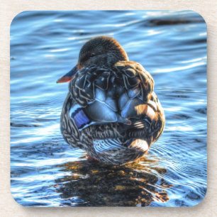 Mallard Duck in Winter River - Wildlife Photo Coaster