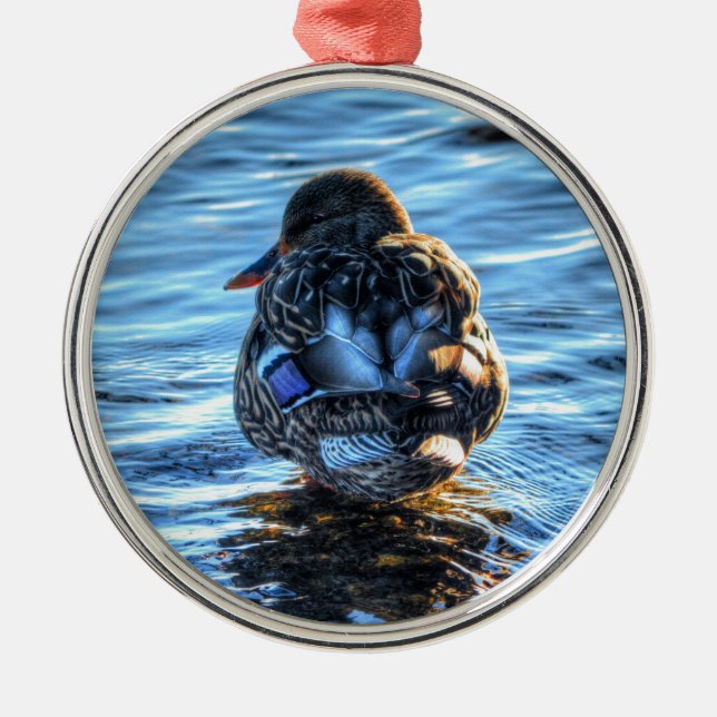 Mallard Duck in Winter River - Wildlife Photo Metal Ornament (Front)