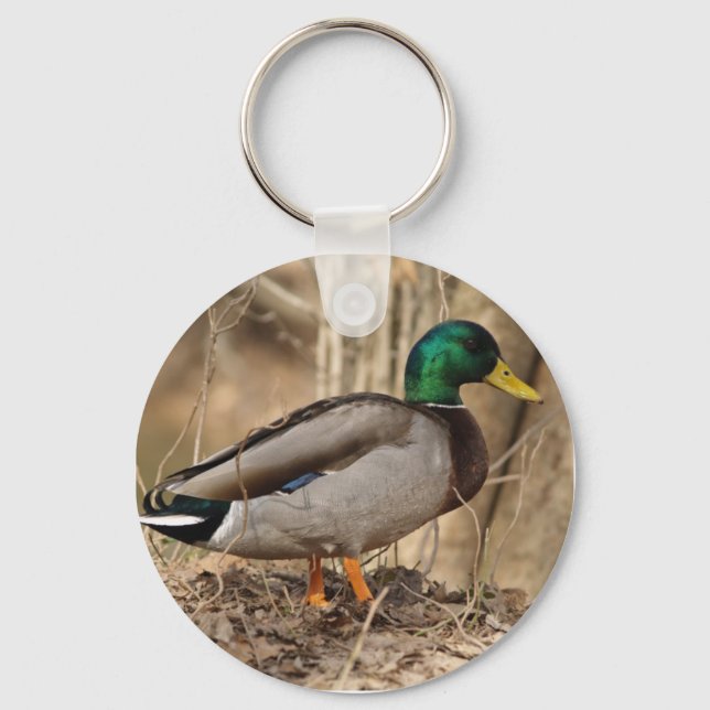 MALLARD DUCK Keychain (Front)