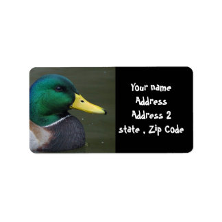 Mallard Duck Label