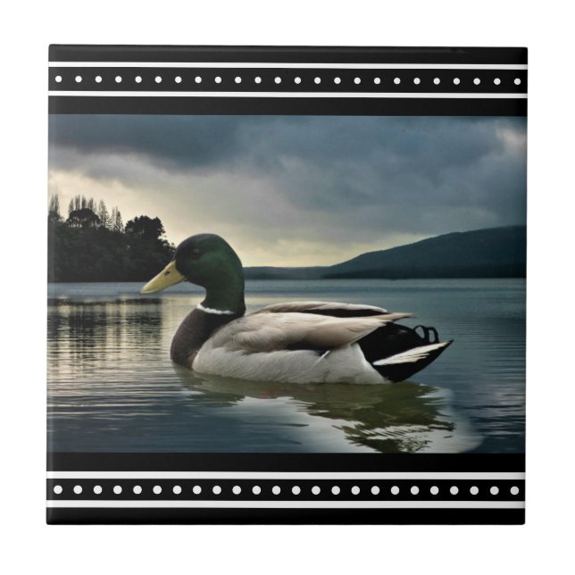 Mallard Duck Lake Ceramic Tile (Front)