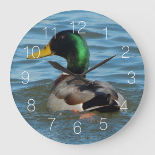 Mallard Duck Large Clock