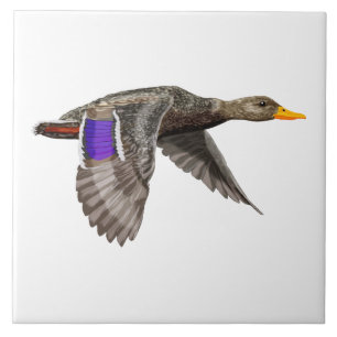Mallard Duck Lovers Ceramic Tile