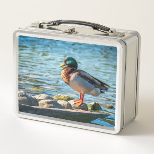 Mallard Duck Lunchbox   Wildlife Lake Design