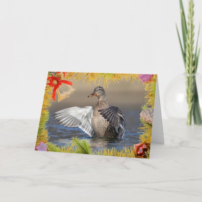 Mallard Duck on a Christmas Card (Front)