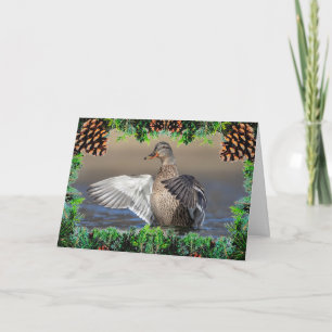 Mallard Duck on a Christmas Card
