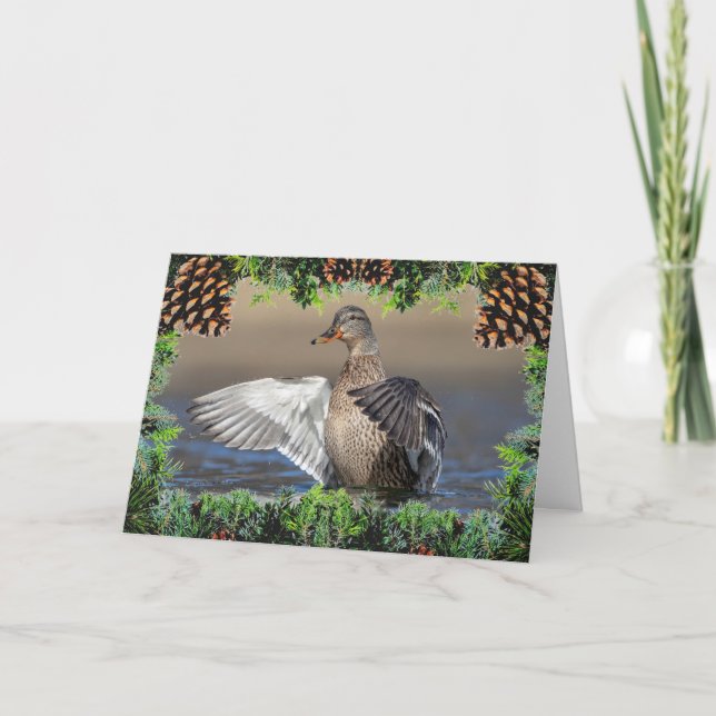 Mallard Duck on a Christmas Card (Front)