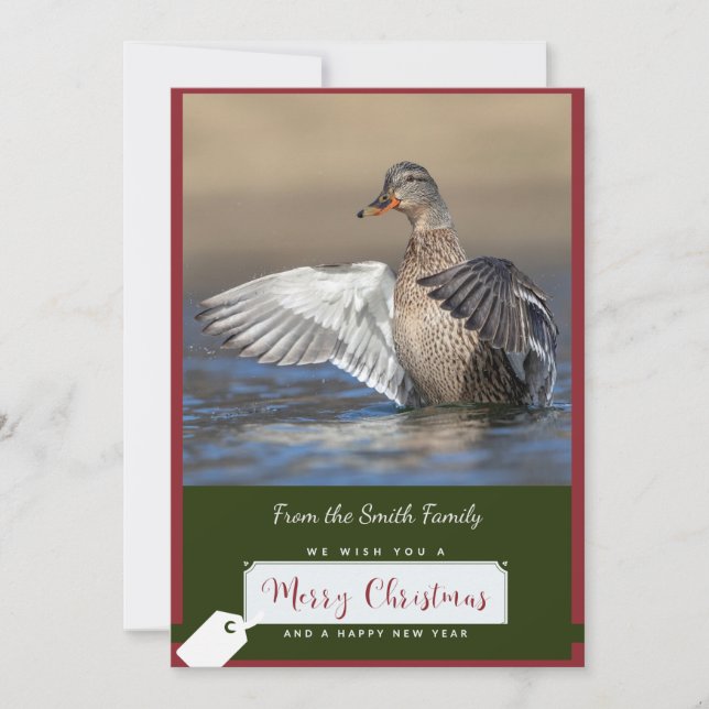 Mallard Duck on a Christmas Card (Front)
