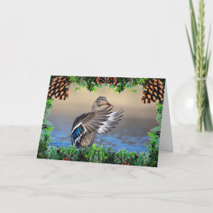 Mallard Duck on a Christmas Card