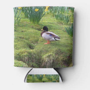 Mallard duck on the bank of a river can cooler