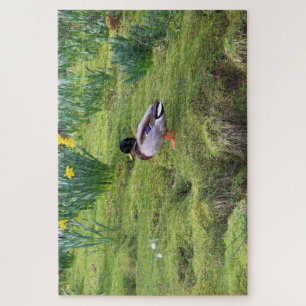 Mallard duck on the bank of a river jigsaw puzzle