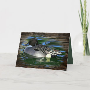 Mallard Duck On The Lake Card
