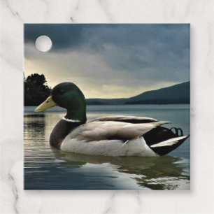 Mallard Duck On The Lake Favour Tags